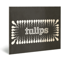 Tulips - Wim T. Schippers