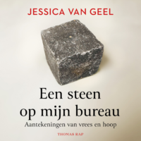 Een steen op mijn bureau - Jessica van Geel