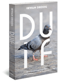 Duif - Irwan Droog