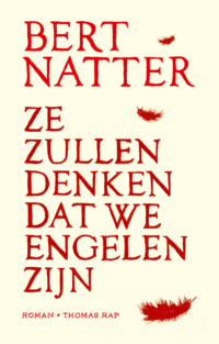 Ze zullen denken dat we engelen zijn - Bert Natter