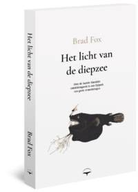 Het licht van de diepzee - Brad Fox