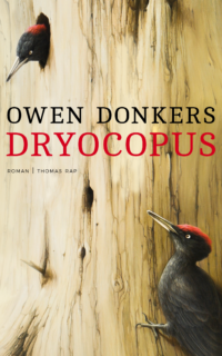 Dryocopus - Owen Donkers