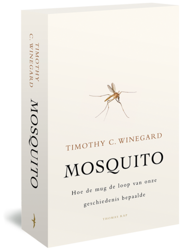 Mosquito