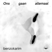 Ons gaan allemaal - 