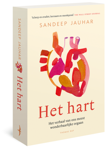 Het hart